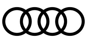 Audi EV Charger